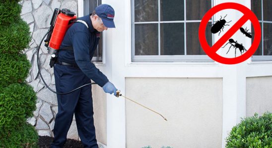 Kırıkkale Dezenfeksiyon böcek ilaçlama ve haşere kontrolü — ilaclama-tr.com